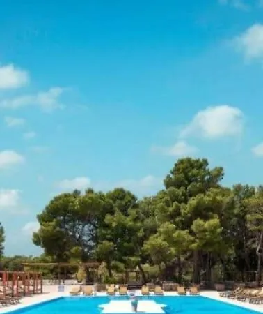 Petra Vodice