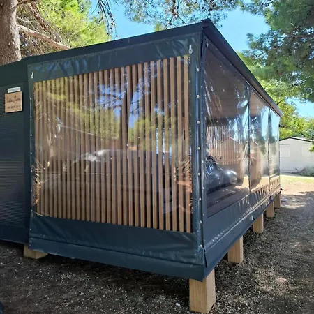 Petra منتزه العطل *