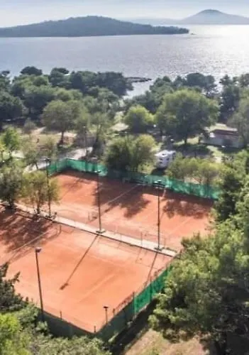 Petra * וודיצה